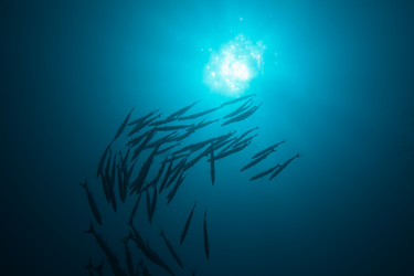 Similar image 2773732