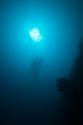 Similar image 2773740