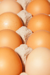 Similar image 2773749