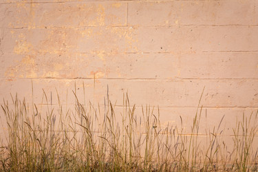 Similar image 2773791