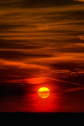 Similar image 2773794