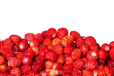 Similar image 2773825