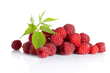 Similar image 2773828