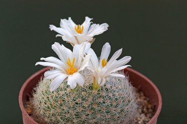 Similar image 2773909