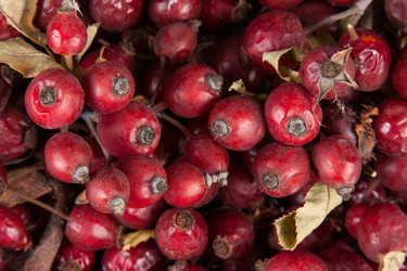 Similar image 2773943