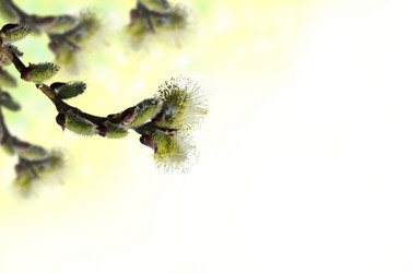 Similar image 2773957