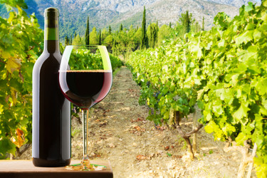 Similar image 2773976