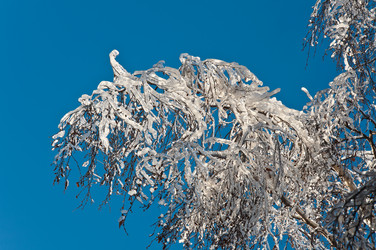 Similar image 2773988