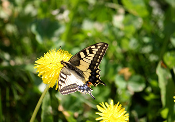 Similar image 2773995