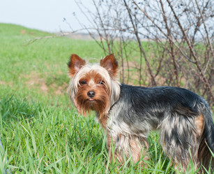 Similar image 2773996