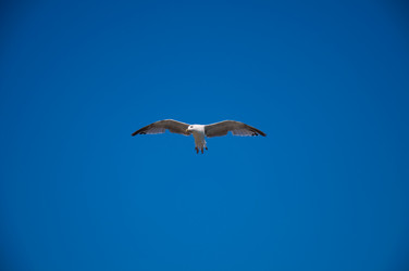 Similar image 2774009