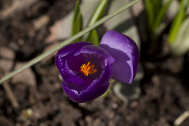 Similar image 2774103