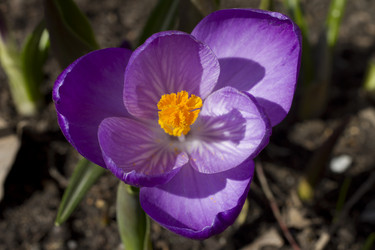 Similar image 2774104