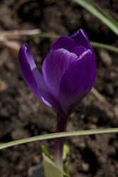 Similar image 2774105