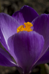 Similar image 2774106