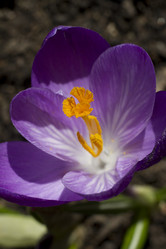 Similar image 2774108