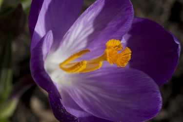 Similar image 2774109