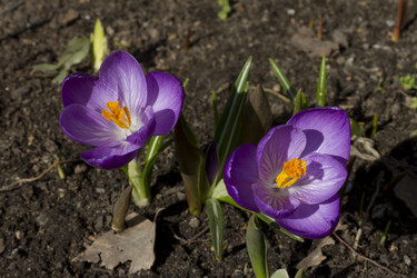 Similar image 2774110