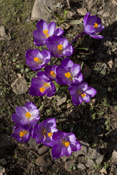 Similar image 2774117