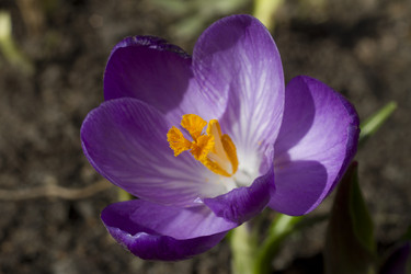 Similar image 2774118