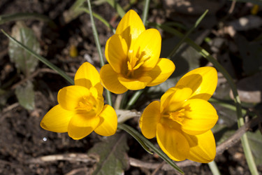 Similar image 2774120