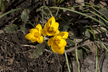 Similar image 2774121