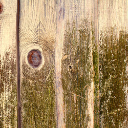 Similar image 2774175