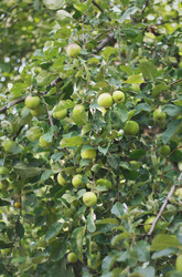 Similar image 2774183