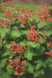 Similar image 2774184