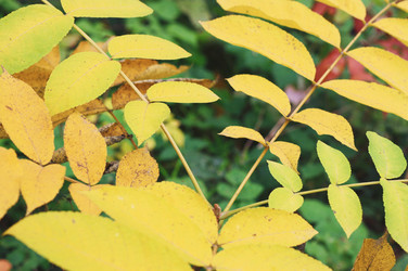 Similar image 2774186