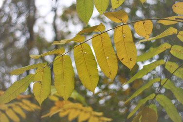 Similar image 2774189