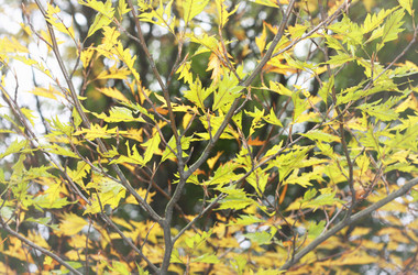 Similar image 2774190