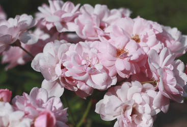 Similar image 2774191