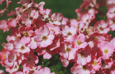 Similar image 2774192