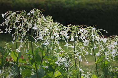 Similar image 2774194