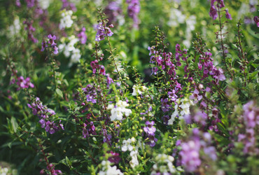 Similar image 2774195