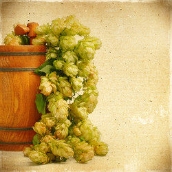 Similar image 2774222