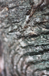 Similar image 2774236