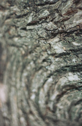 Similar image 2774237