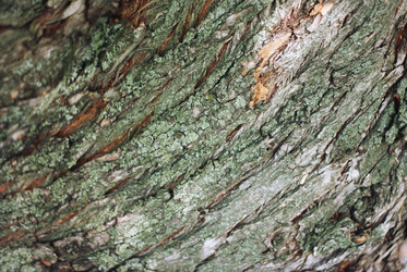 Similar image 2774238