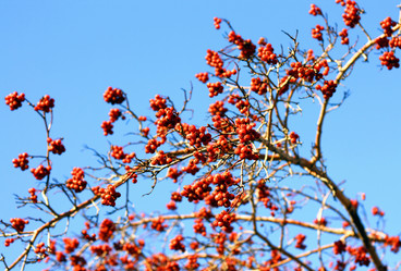 Similar image 2774241