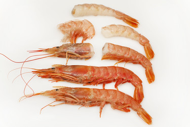 Similar image 2774245