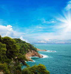 Similar image 2774545