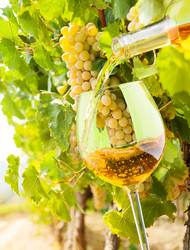 Similar image 2774550