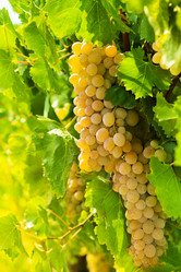 Similar image 2774588