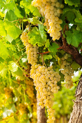 Similar image 2774589