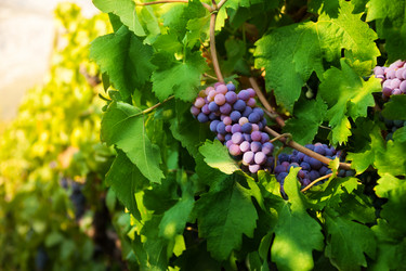 Similar image 2774592