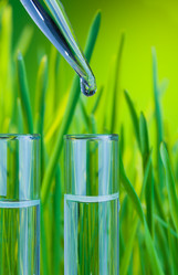 Similar image 2774598