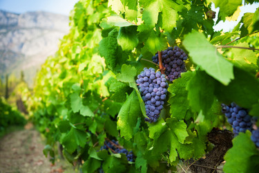 Similar image 2774600