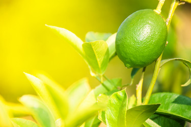 Similar image 2774716